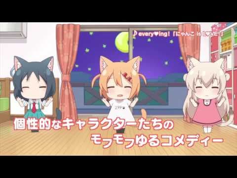 Трейлер: Кошачьи дни