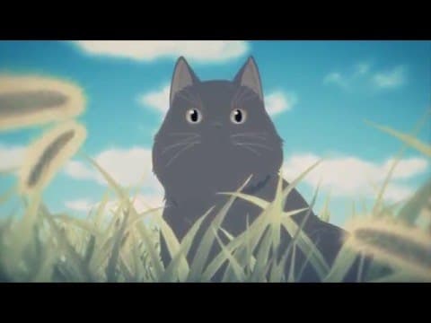 Трейлер: Она и её кот: Всё меняется