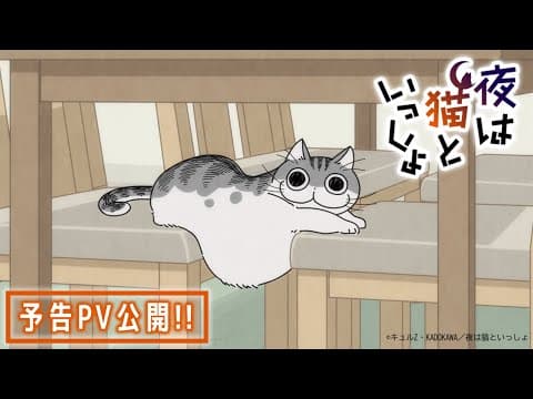 Трейлер: Вечера с кошкой